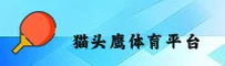 猫头鹰体育官方网站